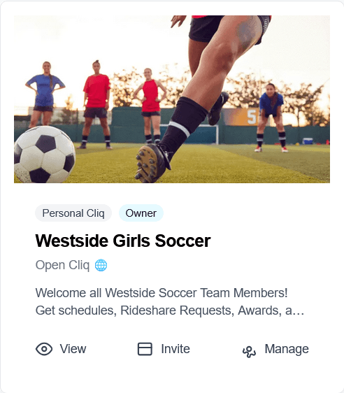 Westside Girls Soccer Cliq